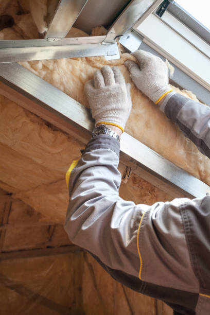 Best Spray Foam Insulation  in Red Bay, AL