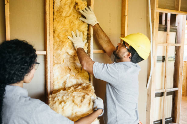 Types of Insulation We Offer in Red Bay, AL